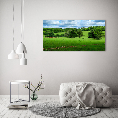 Wall art acrylic Green hills