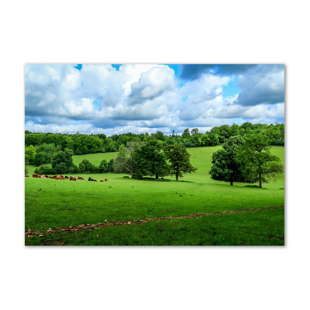 Wall art acrylic Green hills