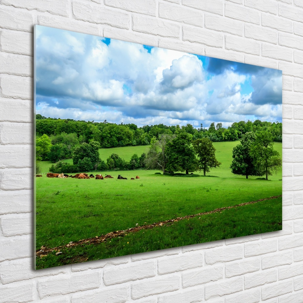 Wall art acrylic Green hills