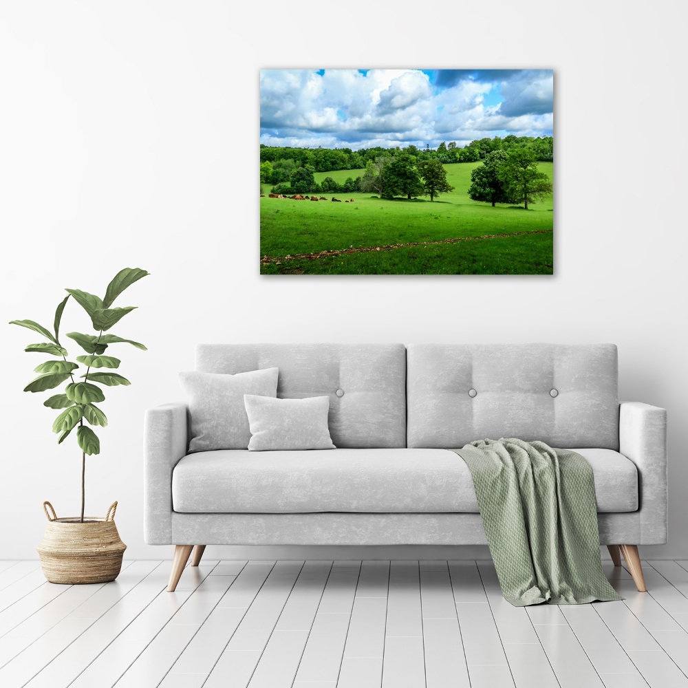 Wall art acrylic Green hills