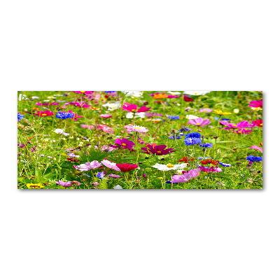 Print on acrylic Field flowers