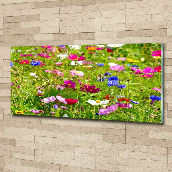 Print on acrylic Field flowers