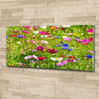 Print on acrylic Field flowers