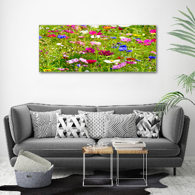 Print on acrylic Field flowers