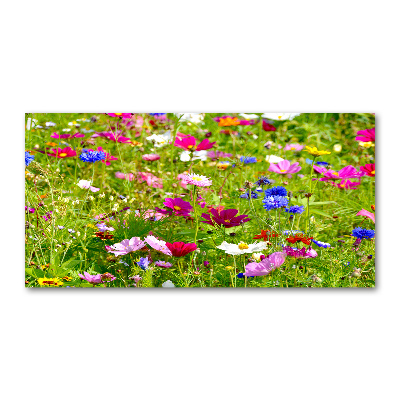 Print on acrylic Field flowers