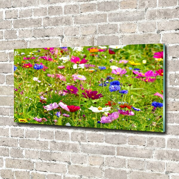 Print on acrylic Field flowers