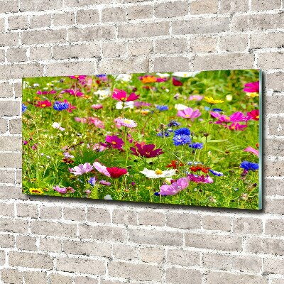 Print on acrylic Field flowers