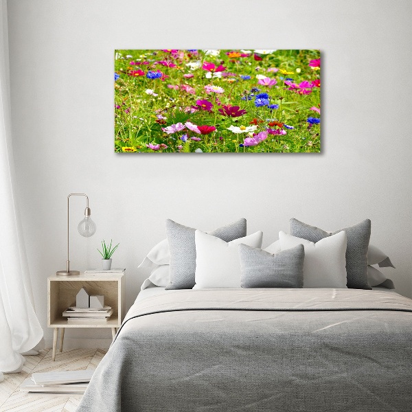 Print on acrylic Field flowers