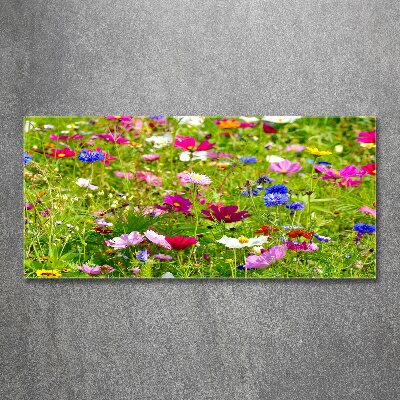 Print on acrylic Field flowers