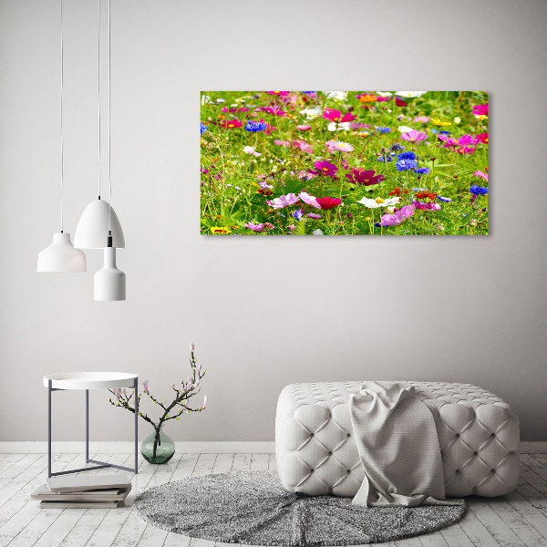 Print on acrylic Field flowers