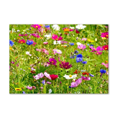 Print on acrylic Field flowers