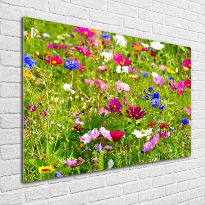 Print on acrylic Field flowers