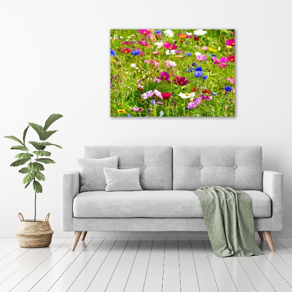 Print on acrylic Field flowers