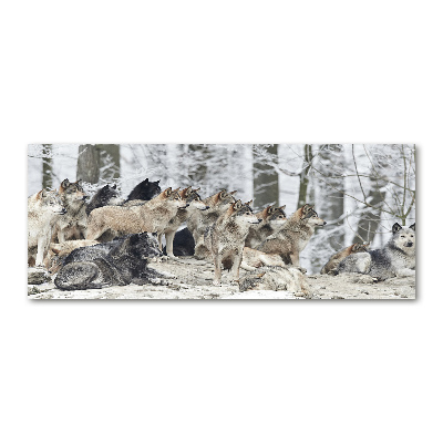 Print on acrylic Wolves in winter