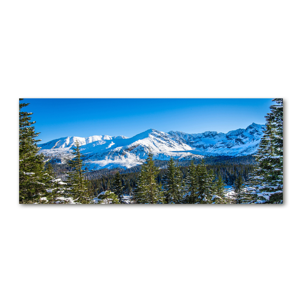 Wall art acrylic Panorama of the Tatra Mountains