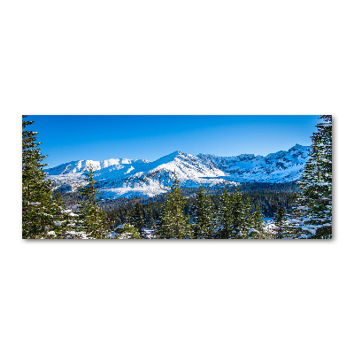 Wall art acrylic Panorama of the Tatra Mountains