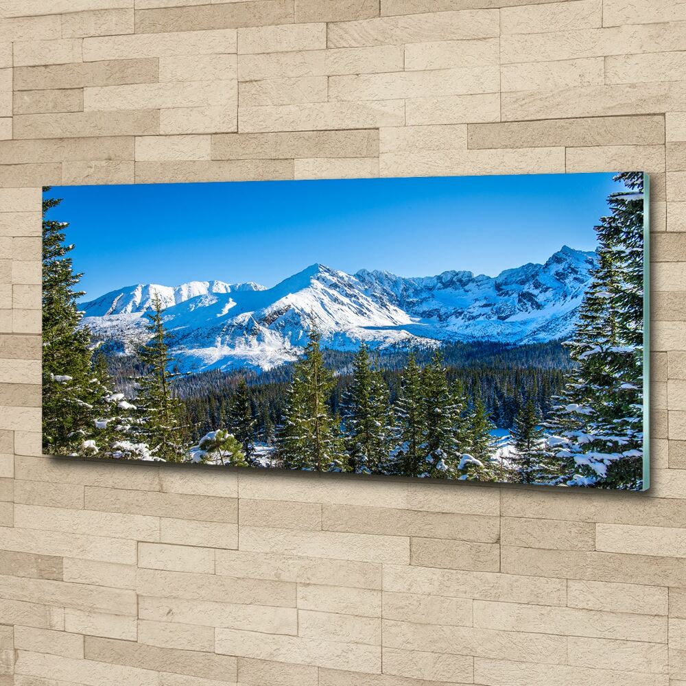 Wall art acrylic Panorama of the Tatra Mountains