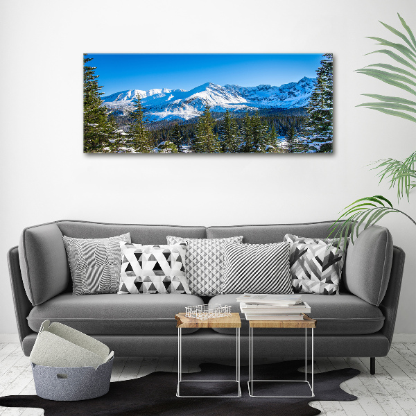 Wall art acrylic Panorama of the Tatra Mountains