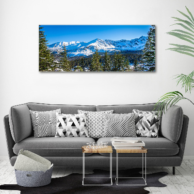 Wall art acrylic Panorama of the Tatra Mountains