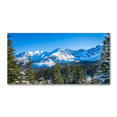 Wall art acrylic Panorama of the Tatra Mountains