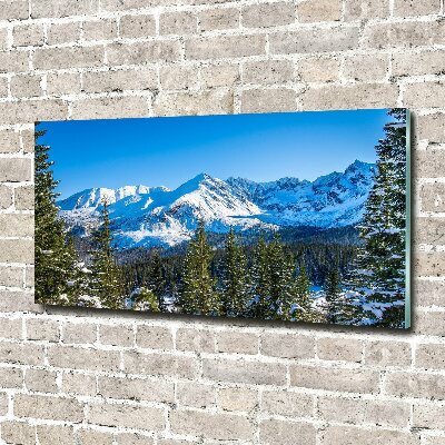 Wall art acrylic Panorama of the Tatra Mountains