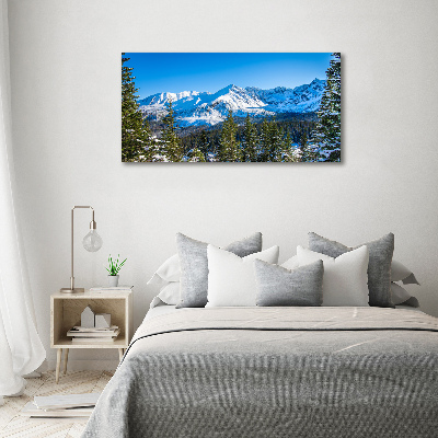 Wall art acrylic Panorama of the Tatra Mountains