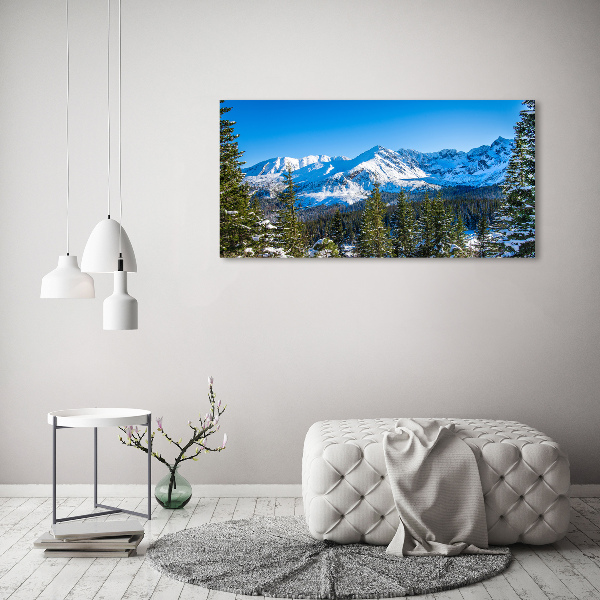 Wall art acrylic Panorama of the Tatra Mountains