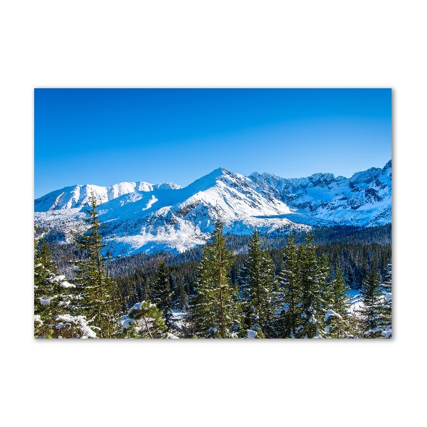 Wall art acrylic Panorama of the Tatra Mountains