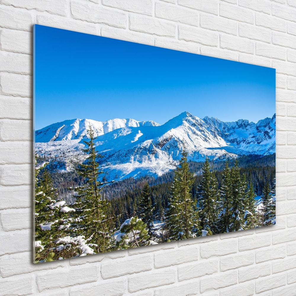 Wall art acrylic Panorama of the Tatra Mountains