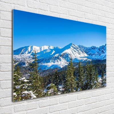 Wall art acrylic Panorama of the Tatra Mountains