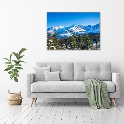 Wall art acrylic Panorama of the Tatra Mountains