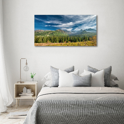 Wall art acrylic Autumn in the Tatra Mountains