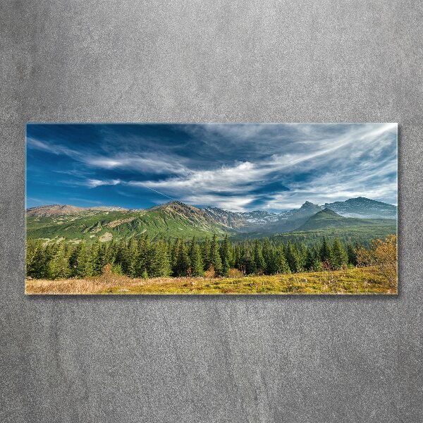 Wall art acrylic Autumn in the Tatra Mountains