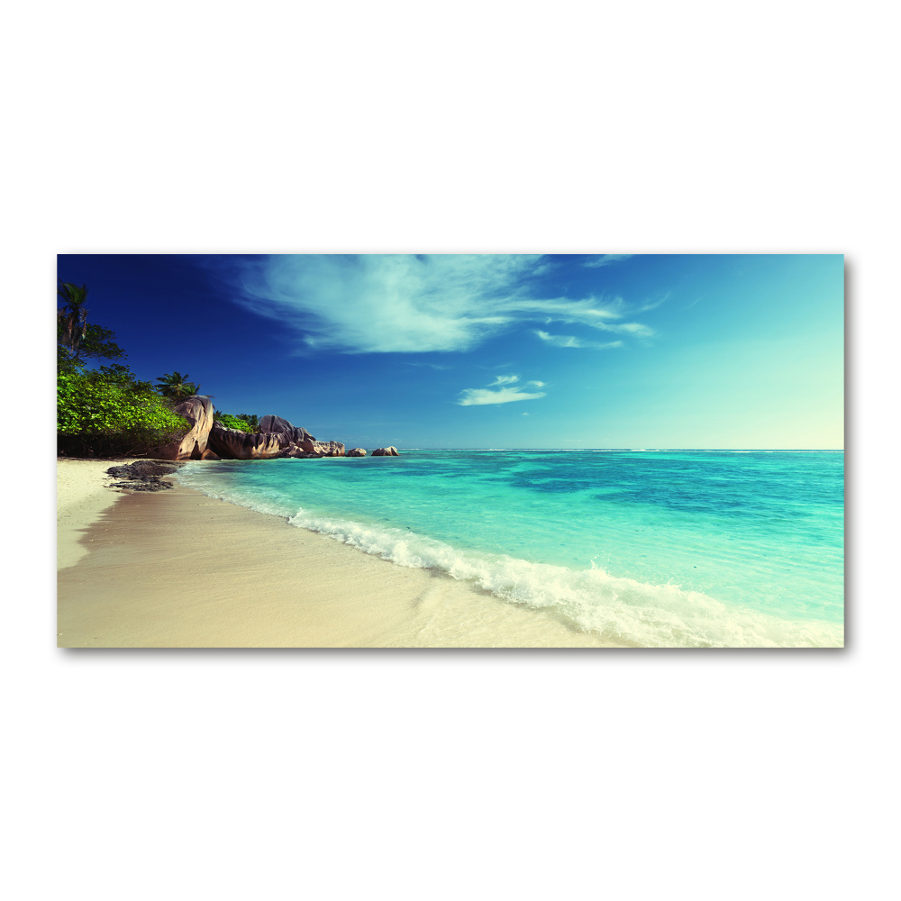 Acrylic wall art Seychelles beach