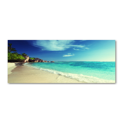 Acrylic wall art Seychelles beach