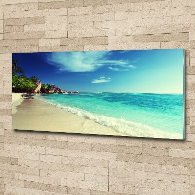 Acrylic wall art Seychelles beach