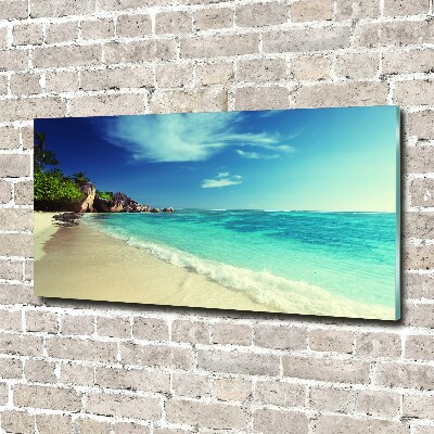 Acrylic wall art Seychelles beach