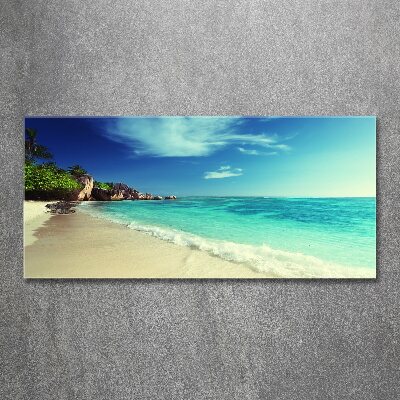 Acrylic wall art Seychelles beach