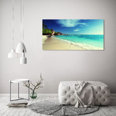 Acrylic wall art Seychelles beach