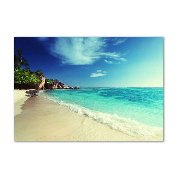 Acrylic wall art Seychelles beach