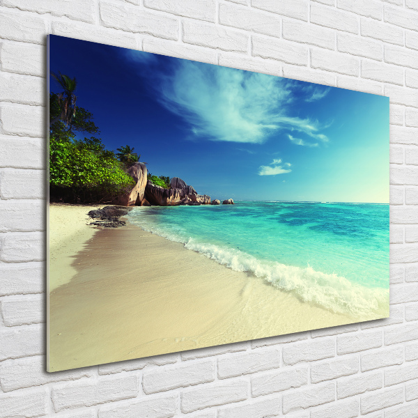 Acrylic wall art Seychelles beach