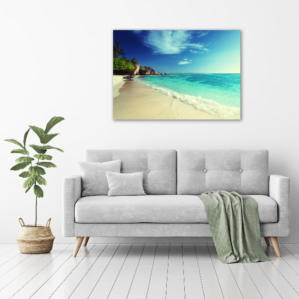 Acrylic wall art Seychelles beach