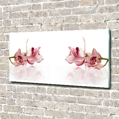 Acrylic wall art Orchid