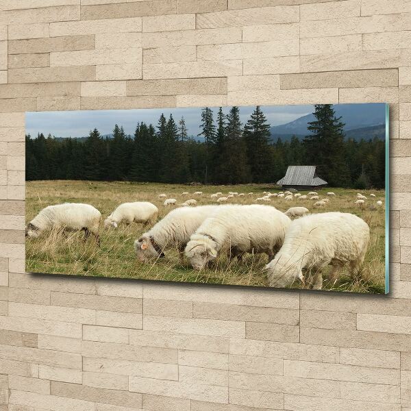 Wall art acrylic Grazing sheep