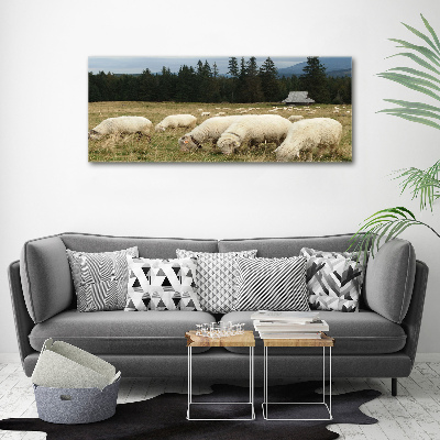 Wall art acrylic Grazing sheep