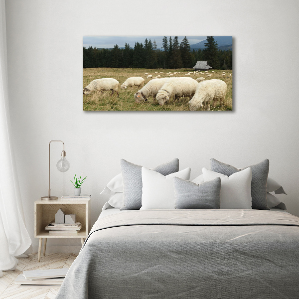 Wall art acrylic Grazing sheep