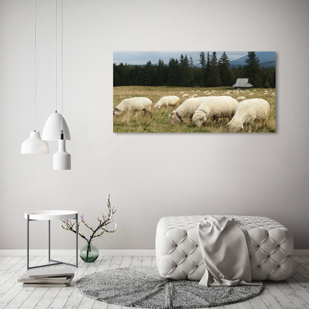 Wall art acrylic Grazing sheep