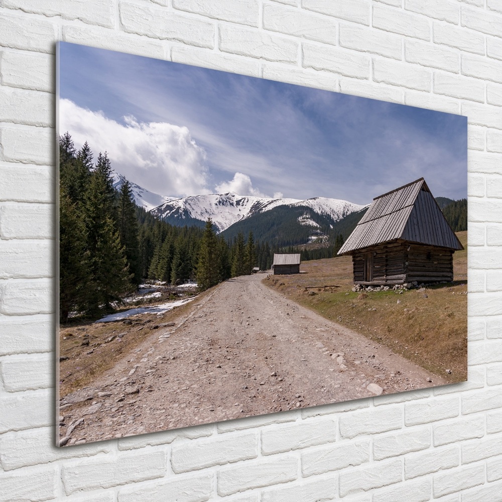 Wall art acrylic House in mountains