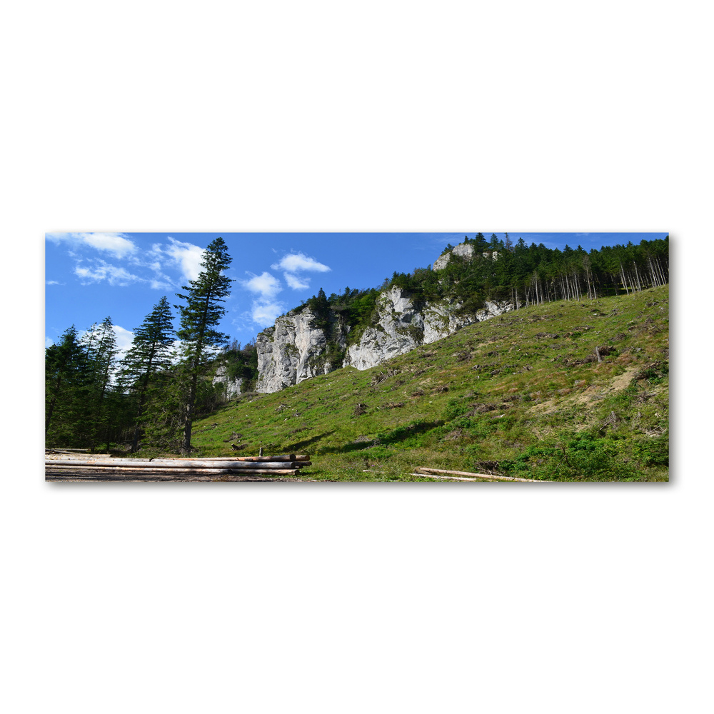 Acrylic wall art Rocky peaks