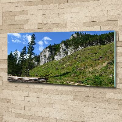 Acrylic wall art Rocky peaks